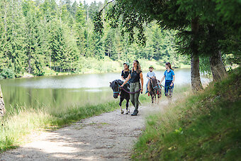 Bayerischer Wald